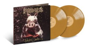 Lire la suite à propos de l’article Réedition en vinyle de 7 albums de PRIMUS