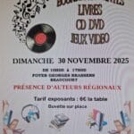 Bourse Aux Vinyls Livres Cd Dvd Jeux Video (Beaucourt – 90500)