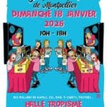 11e Vinyl Pop-Up Market De Montpellier (Montpellier – 34000)