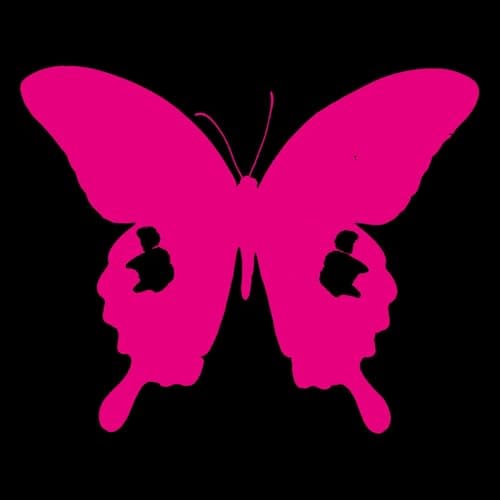 Lire la suite à propos de l’article Sortie vinyle Paradise Live par Death Cult le 16 janvier 2026