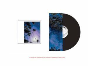 Lire la suite à propos de l’article Sortie vinyle Look Outside Your Window par Look Outside Your Window le 12 juin 2026